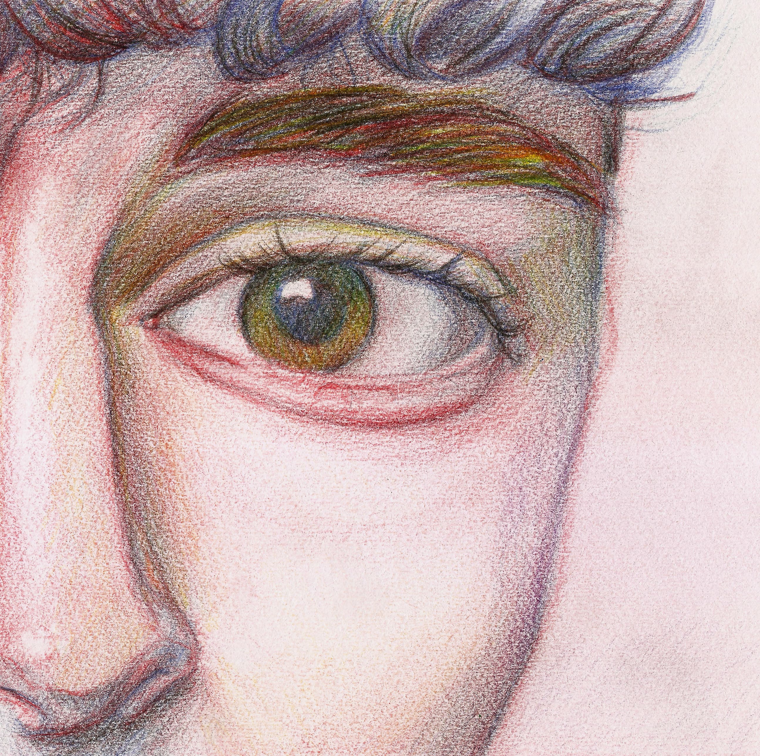 Coloured Pencil Study